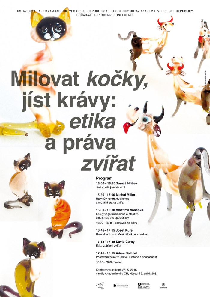 Milovat kocky web