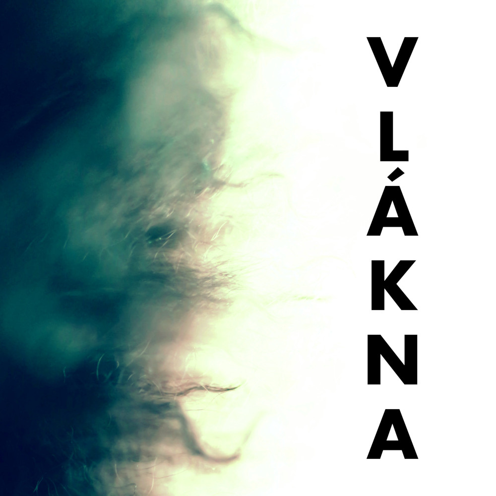 Deníkové metody v nevšedních kontextech