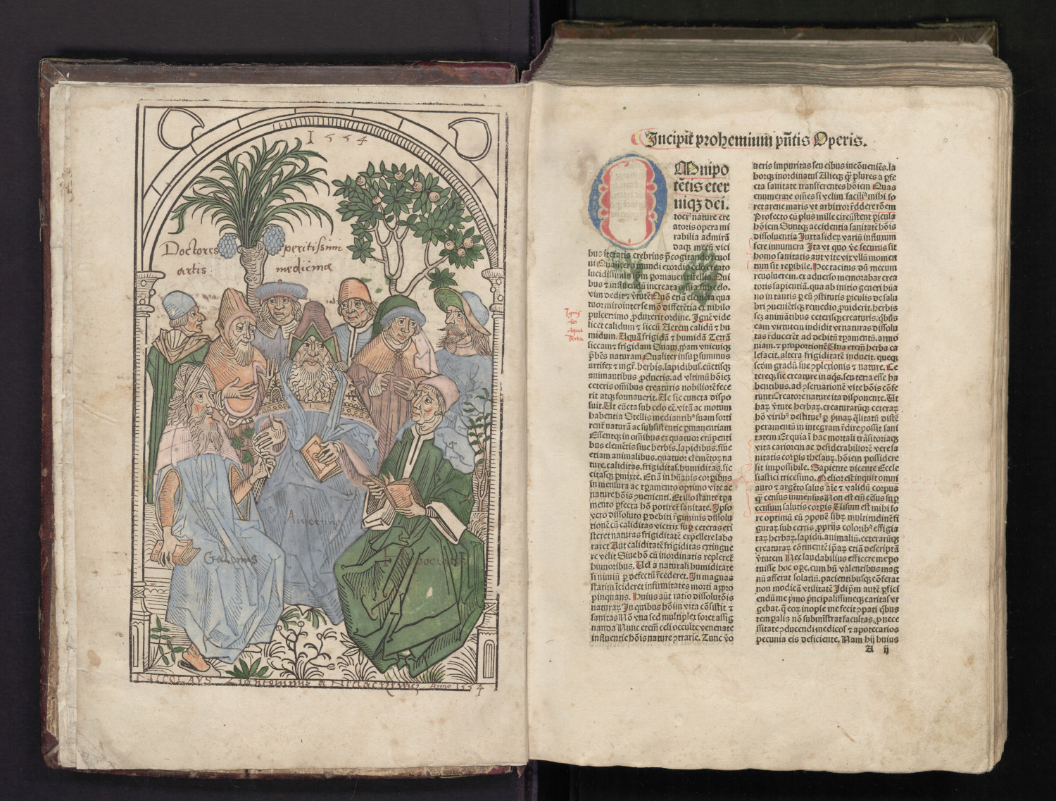 Hortus Sanitatis02
