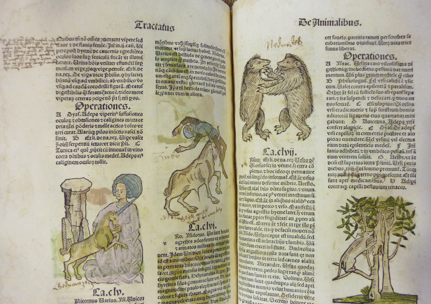 Hortus Sanitatis04