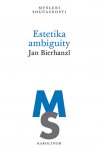 estetika-ambiguity