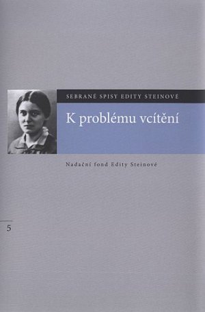 K problému vcítění